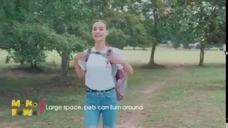Faible MOQ boîte de Transport pour animaux de compagnie en plastique chien chat transporteurs pour animaux de compagnie produits de voyage avec lucarne