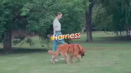 Harnais pour chien et chat de voyage réglable et portable, produits pour animaux de compagnie, Mokofuwa