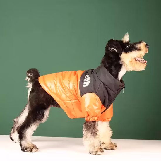 Vente chaude de vêtements de luxe pour chiens Pull pour chien de créateur Chihuahua Bulldog Vêtements pour animaux de compagnie d'hiver Vêtements pour animaux de compagnie