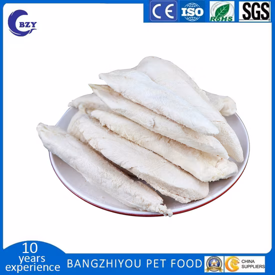 Petisland Collier pour animaux de compagnie en gros produits pour animaux de compagnie moyen grand chien boucle en acier inoxydable tressé en nylon personnalisé nouveau conçu collier de dressage pour chien à boucle serpent