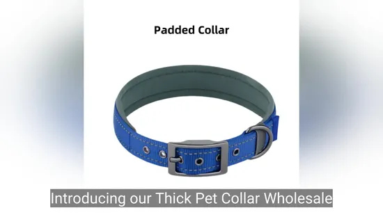 Produits en nylon pour petits chiens Fournitures pour animaux de compagnie Collier pour animaux de compagnie